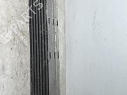 Used Intercooler RENAULT MEGANE III Hatchback (BZ0/1_, B3_) 1.5 dCi (86 hp) 31085019