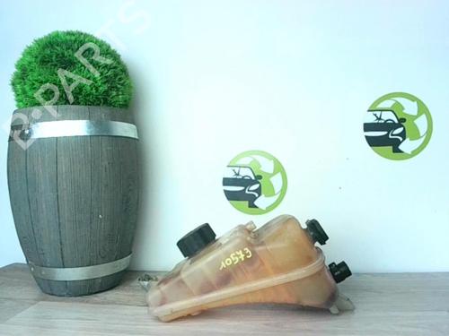 Used Expansion tank CITROËN BERLINGO / BERLINGO FIRST Box Body/MPV (M_) 2.0 HDI 90 (MBRHY, MCRHY) (90 hp) 21182176