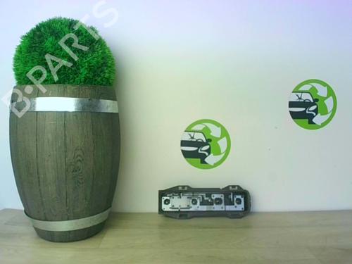 Used Licence plate light OPEL ZAFIRA / ZAFIRA FAMILY B (A05) 1.9 CDTI (M75) (100 hp) 29141062