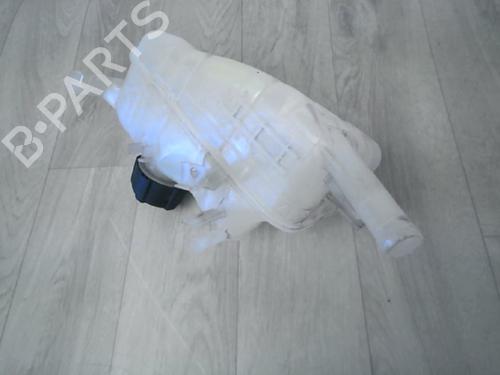 Expansion tank RENAULT SCÉNIC III (JZ0/1_) 1.5 dCi | BP29863938C120