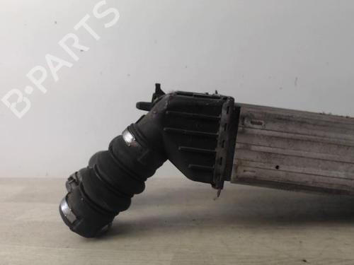 Intercooler CITROËN C3 Picasso (SH_) 1.6 HDi | BP24027315M30