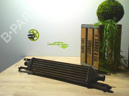 Ladeluftkühler für FIAT GRANDE PUNTO (199_) 1.3 D Multijet (75 hp) 25618173