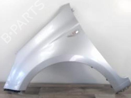 Used Left front fenders HYUNDAI i20 I (PB, PBT) 1.4 CRDi (90 hp) 26199180