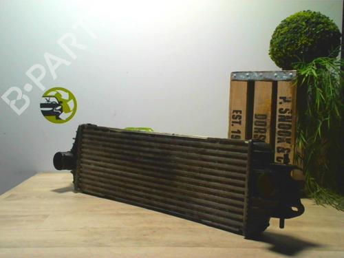Used Intercooler OPEL VIVARO A Van (X83) 1.9 DTI (F7) (101 hp) 24021872