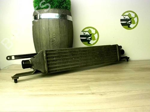 Used Intercooler FIAT GRANDE PUNTO (199_) 1.3 D Multijet (75 hp) 25618170