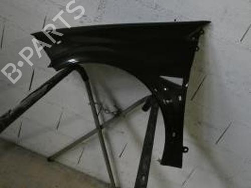 Used Left front fenders RENAULT MEGANE II (BM0/1_, CM0/1_) 1.9 dCi (131 hp) 29833568