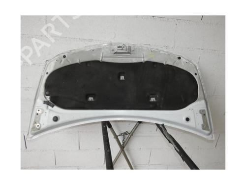 Hood RENAULT CLIO III (BR0/1, CR0/1) 1.5 dCi (BR17, CR17) | BP21821972C1 