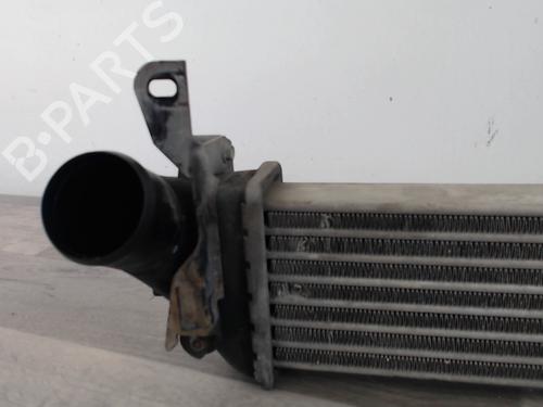 Intercooler RENAULT KANGOO (KC0/1_) 1.5 dCi (KC08, KC09) | BP25601627M30 