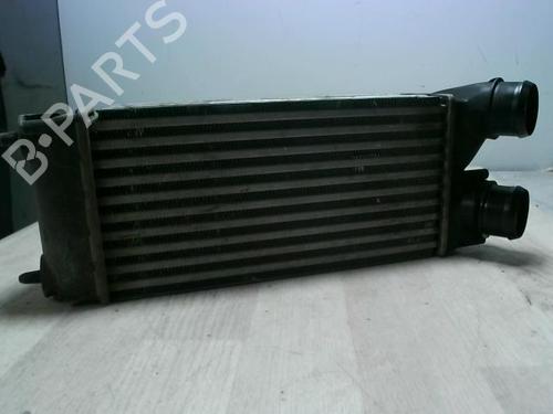 Intercooler CITROËN C4 I (LC_) 1.6 HDi | BP31251950M30