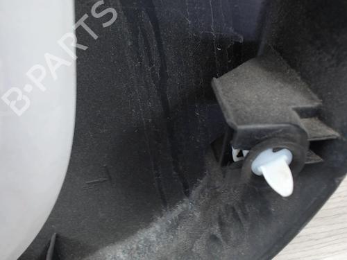 Front left panel RENAULT CLIO IV (BH_) 1.5 dCi 90 | BP30807336C58 