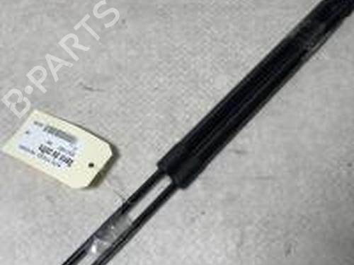 Used Tailgate lift support RENAULT SCÉNIC II (JM0/1_) 1.5 dCi (JM0F) (82 hp) 29726562