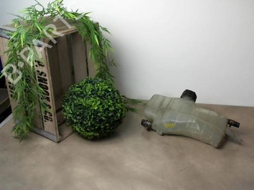 expansion-tank-nissan-micra-iii-k12-2002-2003-2004-2005-2006-2007-2008-2009-2010-2011-24021678 main image