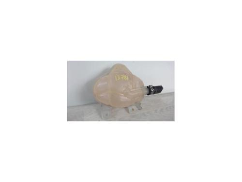 Used Expansion tank FIAT GRANDE PUNTO (199_) 1.3 D Multijet (199.AXD11, 199.AXD1A, 199.AXD1B,... (90 hp) 25619614