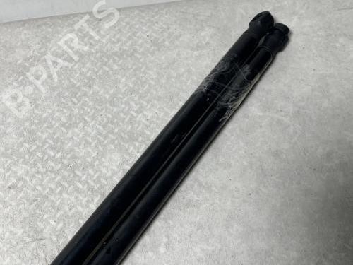 Tailgate lift support RENAULT SCÉNIC II (JM0/1_) 1.5 dCi (JM0F) | BP29726562C138 