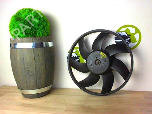 Used Heater blower motor PEUGEOT 207 SW (WK_) 1.6 16V (120 hp) 24021825