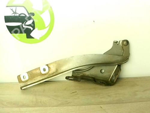 Hinge/Door check strap FIAT GRANDE PUNTO (199_) 1.3 D Multijet | BP25618490C146