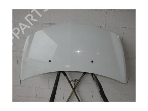 Hood RENAULT CLIO III (BR0/1, CR0/1) 1.5 dCi (BR17, CR17) | BP21821972C1 