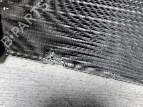 Water radiator FIAT PANDA (169_) 1.1 (169.AXA1A) | BP28306135M31 