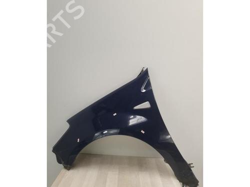 Left front fenders DACIA SANDERO 1.2 16V | BP28173374C41 