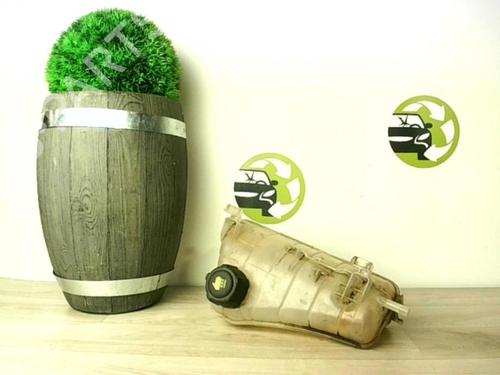 Used Expansion tank RENAULT KANGOO Express (FW0/1_) 1.5 dCi 85 (FW0K, FW0L, FW0B) (86 hp) 30705516