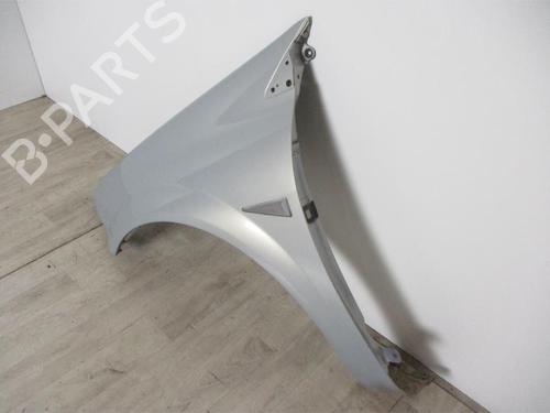 Left front fenders RENAULT MEGANE II Saloon (LM0/1_) 1.5 dCi (LM0F, LM0T, LM2B) | BP30807101C41