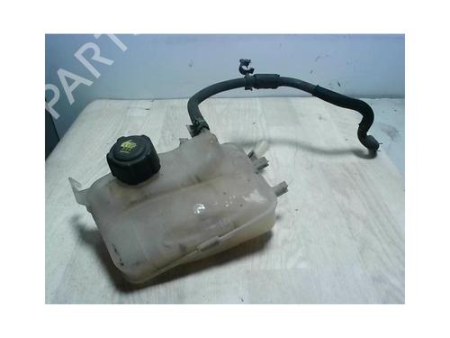 Used Expansion tank RENAULT MEGANE III Hatchback (BZ0/1_, B3_) 1.5 dCi (BZ0C) (90 hp) 24026983