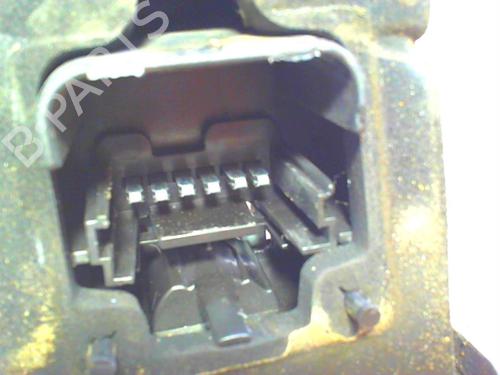 Used Licence plate light RENAULT SCÉNIC II (JM0/1_) 1.9 dCi (JM0G, JM12, JM1G, JM2C) (120 hp) 21181931