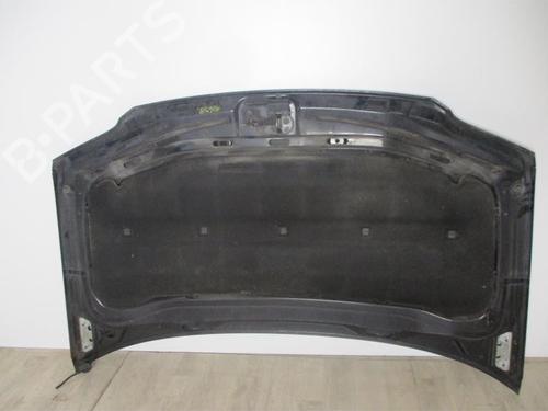 Hood VW TOURAN (1T1, 1T2) 1.9 TDI | BP25994822C1 