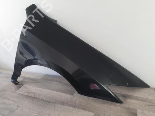 Right front fenders RENAULT LAGUNA Coupe (DT0/1) 2.0 dCi (DT01, DT08, DT09, DT0K, DT12, DT1C, DT1D, DT1M,... | BP25899877C42 