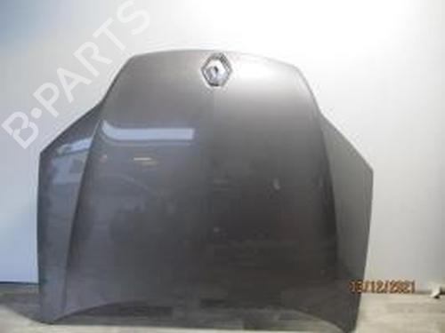 Cofano anteriore RENAULT LAGUNA III (BT0/1) 1.5 dCi (BT00, BT0A, BT0T, BT1J) (110 hp) 31087402