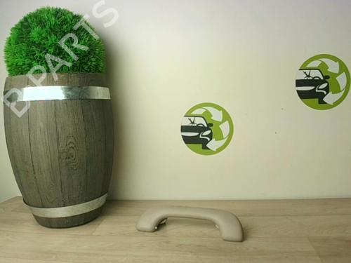 interior-roof-handle-renault-zoe-bfm_-2012-24025141 main image