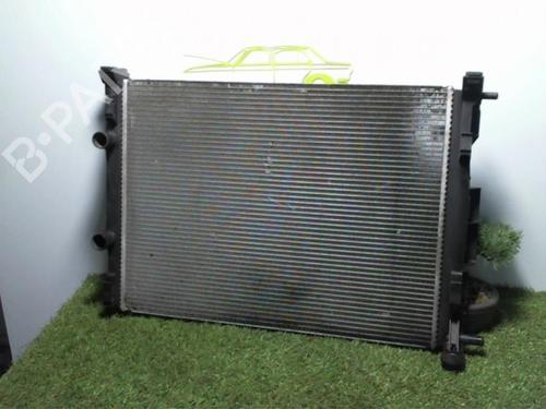 Used Water radiator RENAULT SCÉNIC II (JM0/1_) 1.9 dCi (JM0G, JM12, JM1G, JM2C) (120 hp) 24021657
