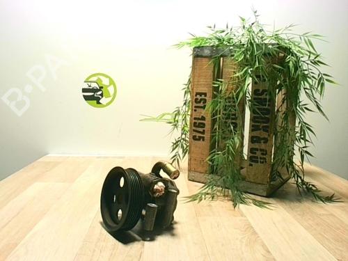 Styring servopumpe FORD FIESTA V (JH_, JD_) 1.3 (60 hp) 24025534