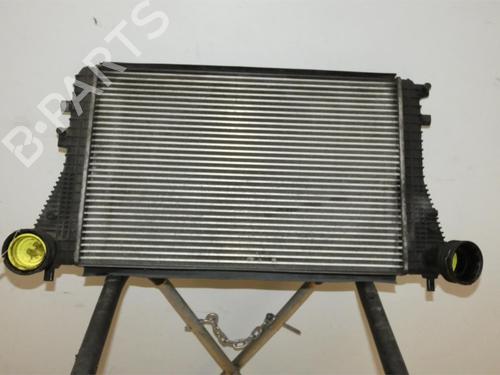 Used Intercooler VW GOLF V (1K1) 1.9 TDI (105 hp) 25929930
