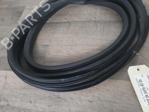 rubber-door-seal-renault-clio-iv-bh_-2012-2013-2014-2015-2016-2017-2018-2019-2020-2021-30808014 main image