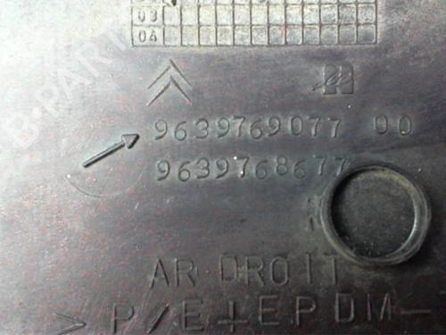 Door moulding trim CITROËN XSARA Coupe (N0) 2.0 HDI 90 | BP24021629C150 