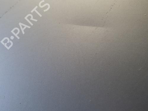 Hood RENAULT TRAFIC II Bus (JL) 1.9 dCI 80 (JL0B) | BP31084891C1 