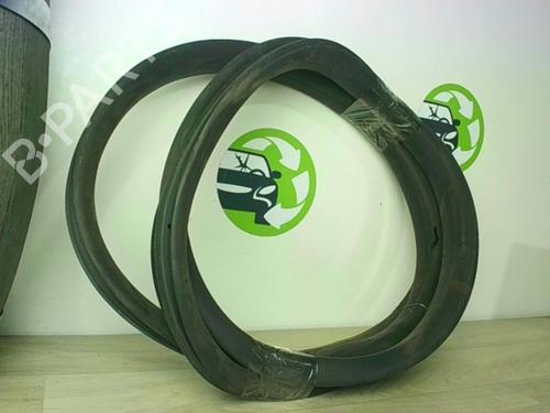 goma-contorno-puerta-renault-zoe-bfm_-2012-24025154 main image