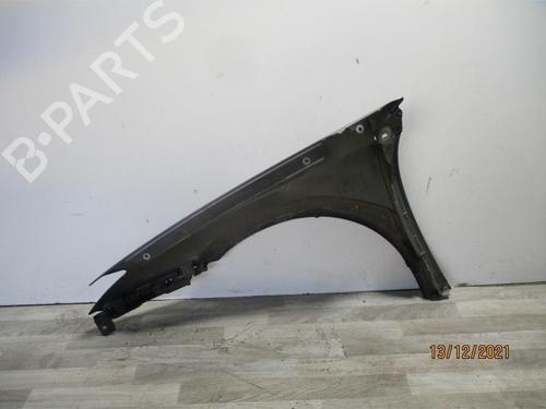Right front fenders RENAULT LAGUNA III (BT0/1) 1.5 dCi (BT00, BT0A, BT0T, BT1J) | BP24024046C42 