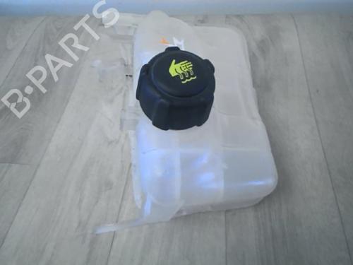 Expansion tank RENAULT SCÉNIC III (JZ0/1_) 1.5 dCi | BP29863938C120