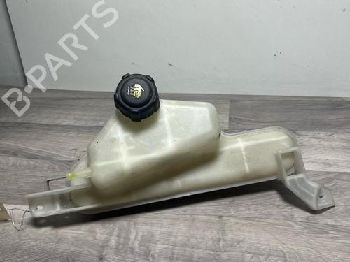 Ekspansjonstank Ekspansjonstank NISSAN JUKE (F15) 1.5 dCi (110 hp) 36257113 36257113