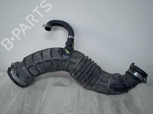 Used Pipe RENAULT SCÉNIC III (JZ0/1_) 1.5 dCi (86 hp) 21182181