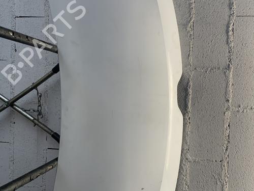 Motorhaube für Motorhaube RENAULT MASTER III Bus (JV) 2.3 dCi 110 FWD (JV0R, JV0W) (110 hp) 34344442 34344442