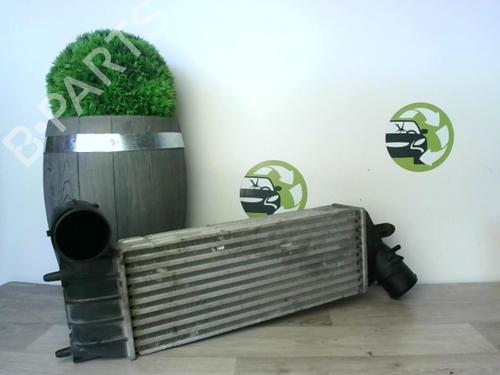 Intercooler FIAT ULYSSE (179_) 2.0 JTD (109 hp) 25618194