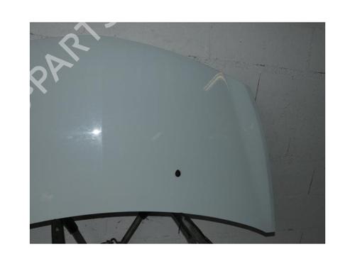 Hood RENAULT CLIO III (BR0/1, CR0/1) 1.5 dCi (BR17, CR17) | BP21821972C1 