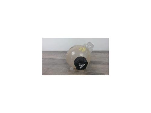 Used Expansion tank NISSAN NV400 Platform/Chassis (X62, X62B) dCi 145 (146 hp) 25448052