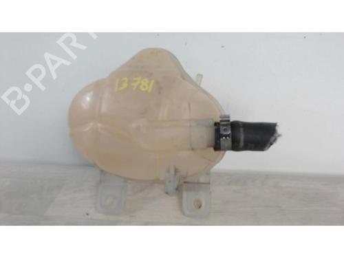 Expansion tank FIAT GRANDE PUNTO (199_) 1.3 D Multijet (199.AXD11, 199.AXD1A, 199.AXD1B,... | BP25619614C120