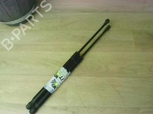 Tailgate lift support BMW 1 (E87) 118 d | BP25994906C138 