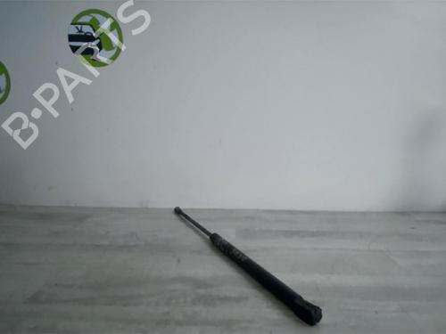 Hood lift support VW GOLF IV (1J1) 1.9 TDI | BP25990614C139 