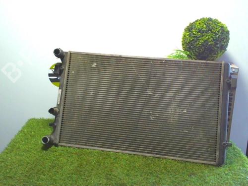 Used Water radiator SEAT TOLEDO I (1L2) 1.6 i (101 hp) 30667037